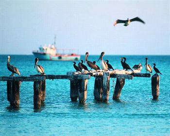 Wayak Holbox 호텔 외부 사진